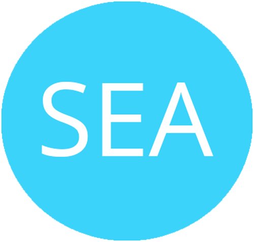 Search Engine Advertising Suchmaschinenwerbung SEA Agentur BLACKTENT